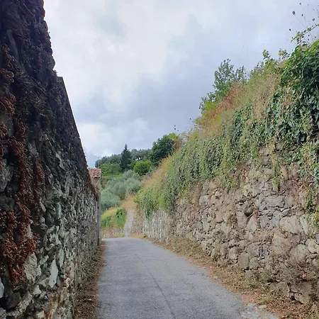 Appartamento Ca Teodoi